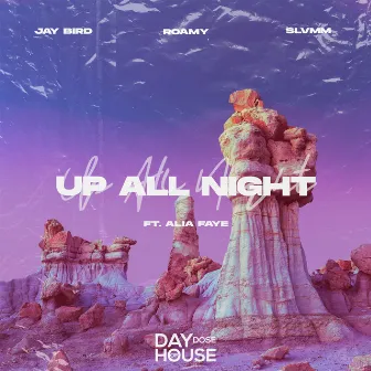 Up All Night by Roamy