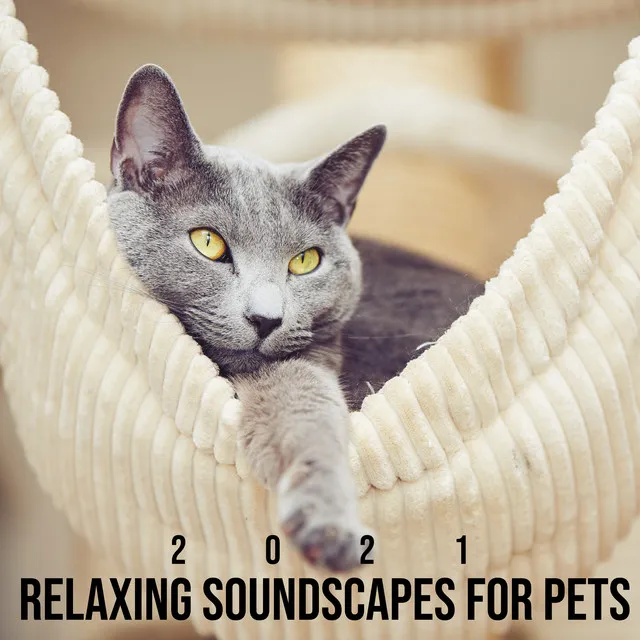 2021 Relaxing Soundscapes for Pets