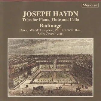 Haydn: Trios for Piano, Flute & Cello by Paul Carroll