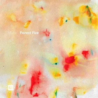 Forest Fire by Mutul