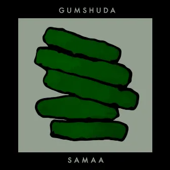 Gumshuda by SAMAA