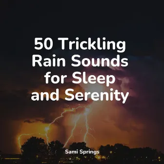 50 Rain Sounds for Sleep by Nature Sounds Artists