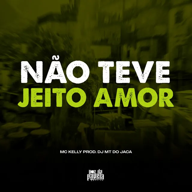 Não Teve Jeito Amor