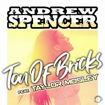 Ton Of Bricks by Taylor Mosley