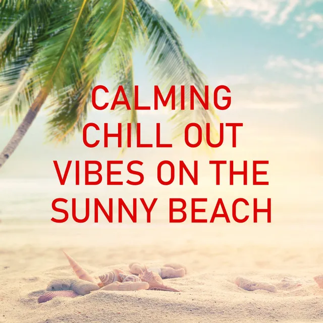 Calming Chill Out Vibes on the Sunny Beach