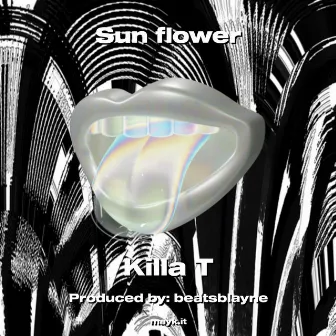 Sun flower by Killa T