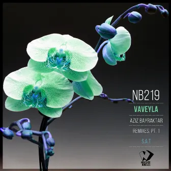 Vaveyla, Pt. 1 (Remixes) by Aziz Bayraktar