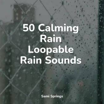 50 Calming Rain Loopable Rain Sounds by Study Zone