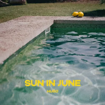 Sun in June by Unknown Artist