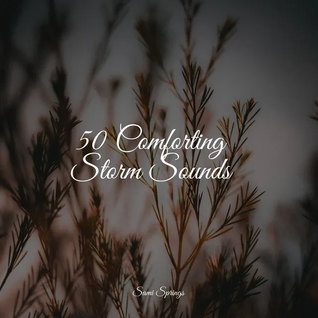 50 Comforting Storm Sounds