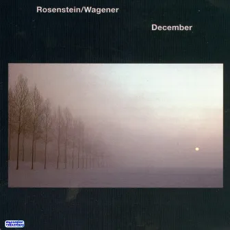 December - Music For All Seasons And Backgrounds by Hans Günther Wagener