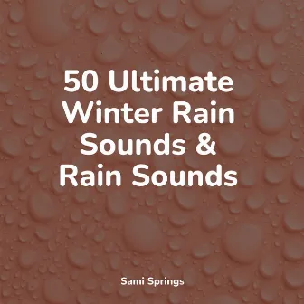 50 Ultimate Winter Rain Sounds & Rain Sounds by A Sudden Rainstorm