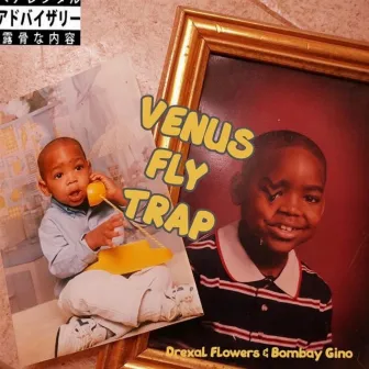 Venus Fly Trap by Bombay Gino