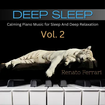 Deep Sleep: Calming Piano Music for Sleep And Deep Relaxation, Vol. 2 by Renato Ferrari