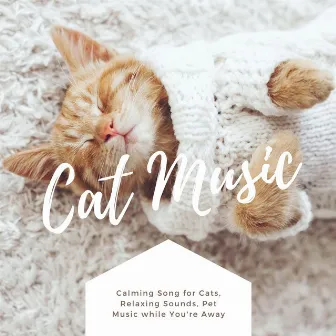 Cat Music: Calming Song for Cats, Relaxing Sounds, Pet Music while You're Away by Wellness N Wellness