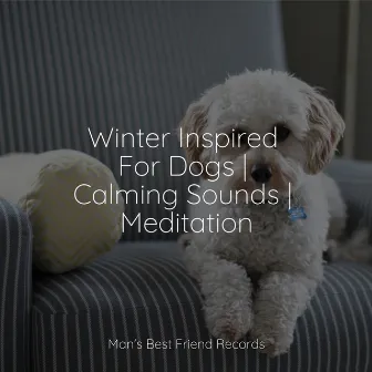 Winter Inspired For Dogs | Calming Sounds | Meditation by 