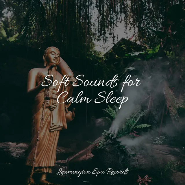 Soft Sounds for Calm Sleep