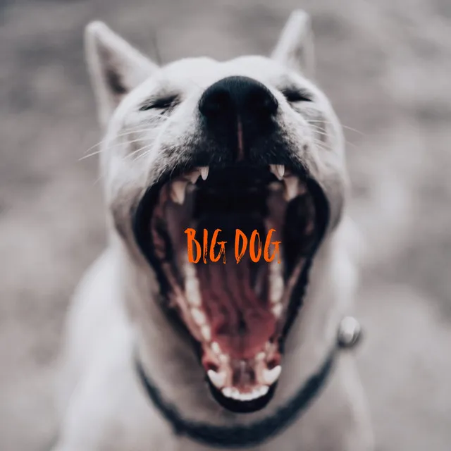 Big Dog