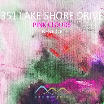 Pink Clouds (Best Of) by 351 Lake Shore Drive