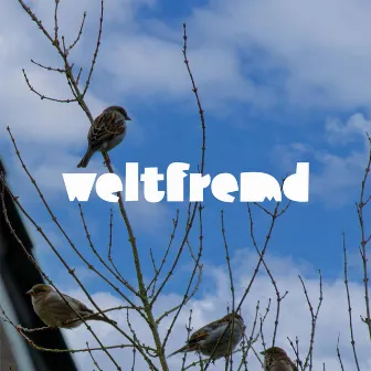 Weltfremd by Das Kind