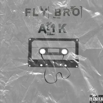 Fly Bro by A1K