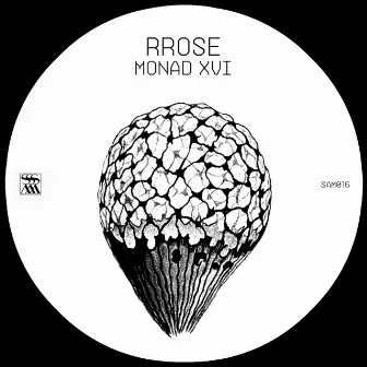 Monad XVI by Rrose