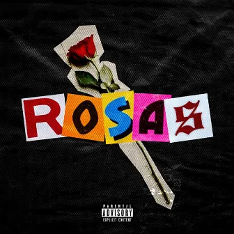 Rosas by chags