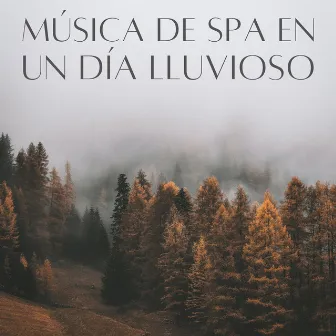 Música De Spa En Un Día Lluvioso by Centro de Spa Tranquilidad