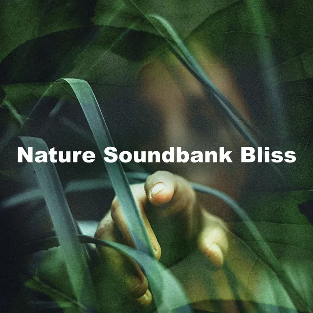 Nature Soundbank Bliss