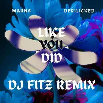 Like You Did (DJ Fitz Remix) by Marns