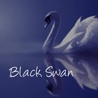 Black Swan – Instrumental Music, Classical Music Lounge Version, Piano Songs & Lounge Music Selection by Instrumental Music Academy