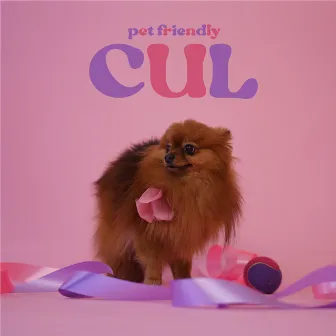 Cul by Pet Friendly