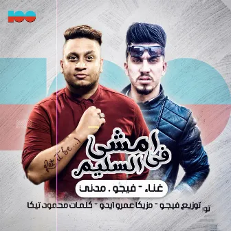 ماشي في السليم by مدني