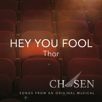 Hey You Fool by Thor Dulay