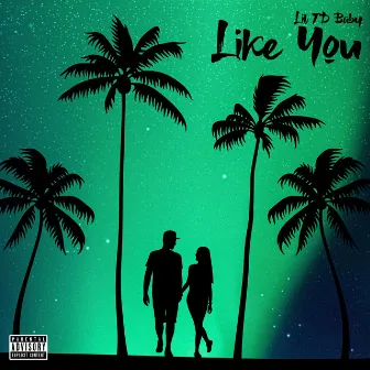 Like You by Lil TD Baby