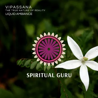 Vipassana - The True Nature of Reality by Liquid Ambiance