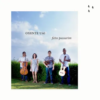 Feito Passarim by Oxente Uai