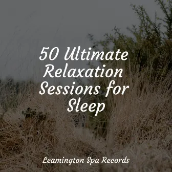 50 Ultimate Relaxation Sessions for Sleep by Ambient Music Therapy