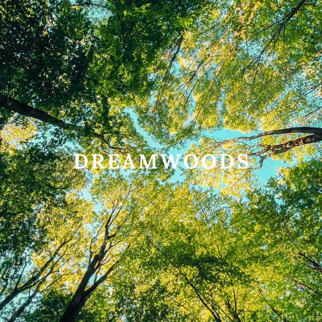 Dreamwoods