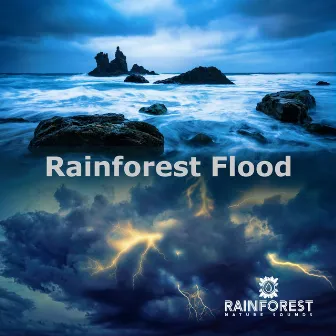 Rainforest Flood by Rainforest Nature Sounds