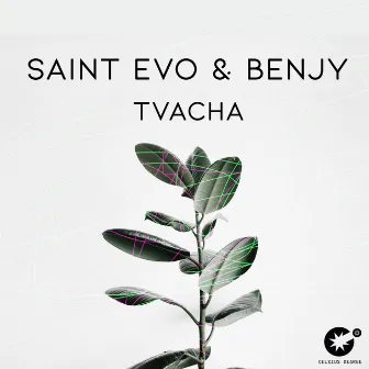 Tvacha by Benjy