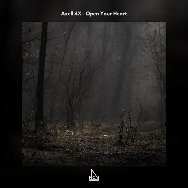 Open Your Heart