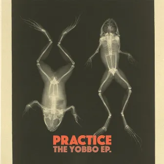 The Yobbo EP by Practice