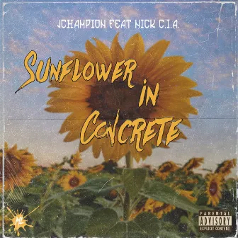 Sunflower in Concrete by JChampion