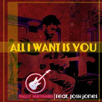 All I Want Is You by Pally Matharu