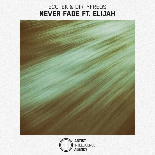 Never Fade - Single