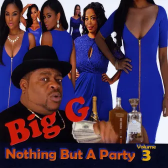 Nothing but a Party, Vol. 3 by Big G