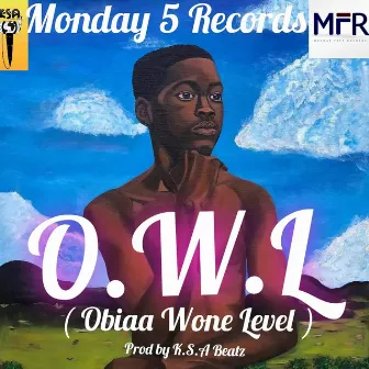 O.W.L ( Obiaa Wone Level ) [Remastered 2023] by Siaw Sikanii