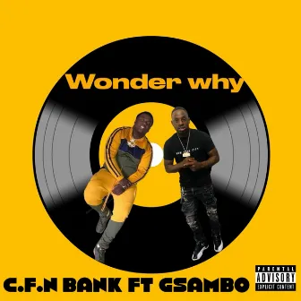 Wonder Why by Cfn Bank