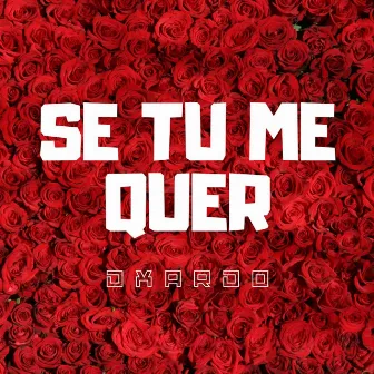 Se Tu Me Quer by Dxardo